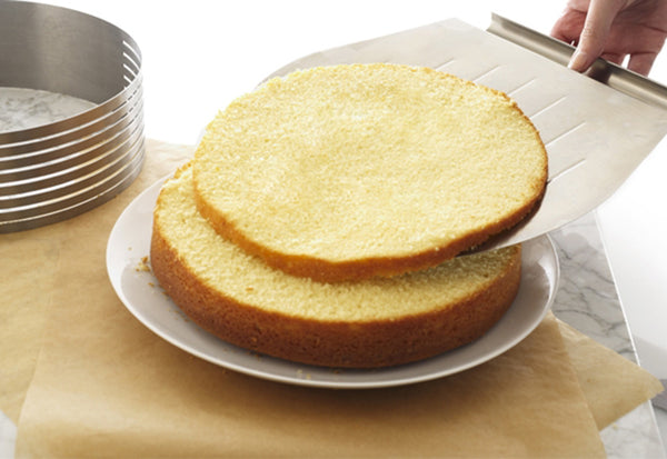 wud7OkRdPN2MX6A55RXeJ