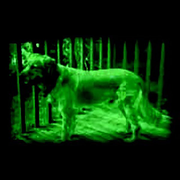 7DCZkWDg3HFsmu4m2Vvnk8