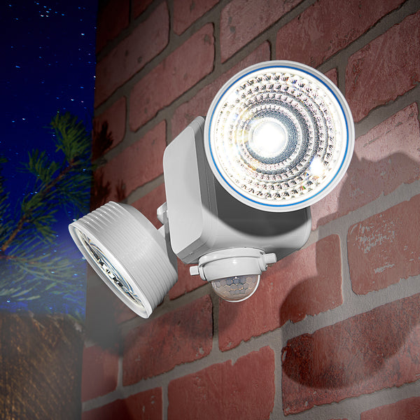 Dual LED Motion Light