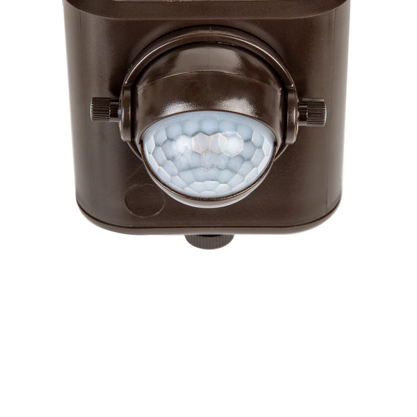 Dual LED Motion Light