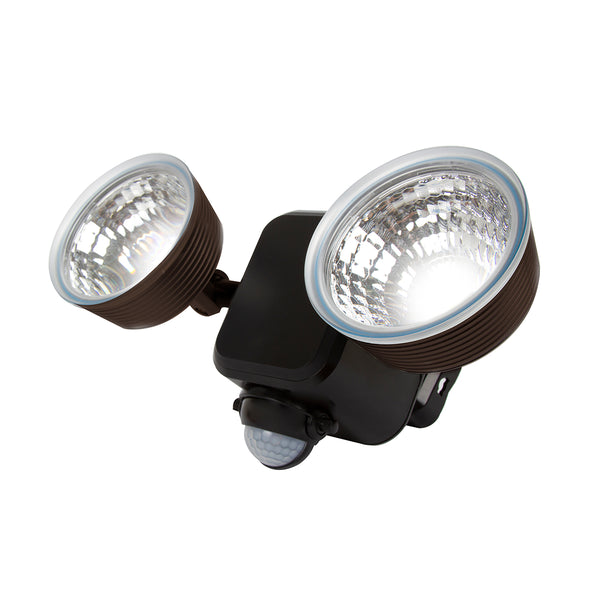Dual LED Motion Light