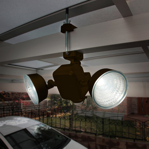 Dual LED Motion Light