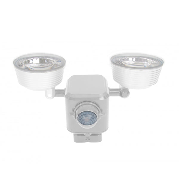 Dual LED Motion Light