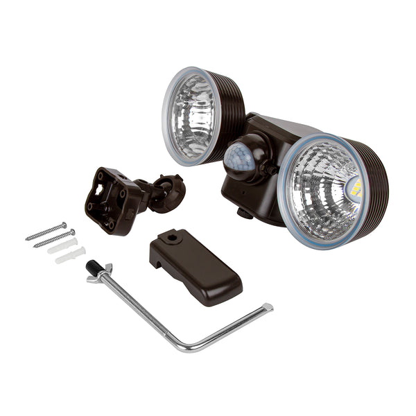 Dual LED Motion Light