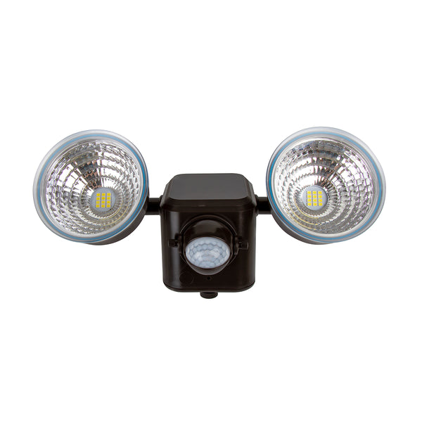 Dual LED Motion Light