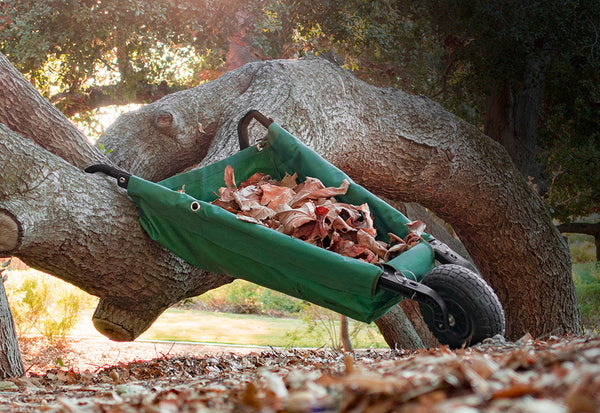 4FPHhbauiGVE58FQPSwULO