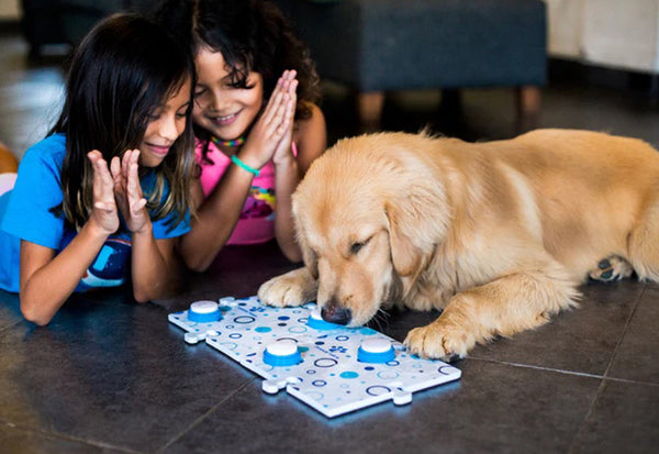 6nUOusqRtLGSI9DsWJniKO