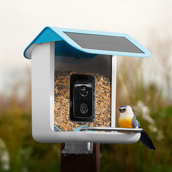 2D6a1rZsMlPEIk6cw9ejx7