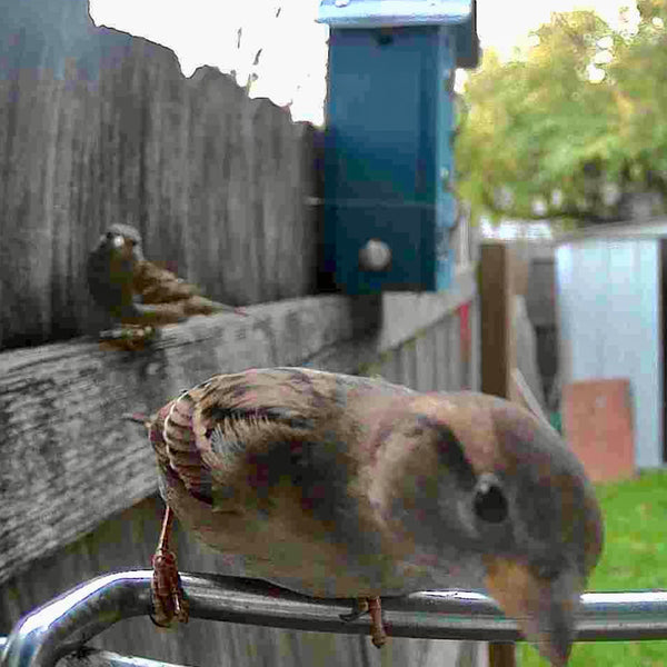 5UrKdxYHEldAgs4U9wsh7w