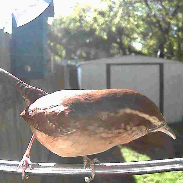 6kzPdaRHnAZ84NTLYag0PU