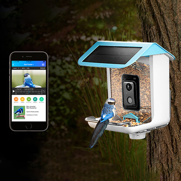 1mywtrbJTal2DHWAvgpXjL