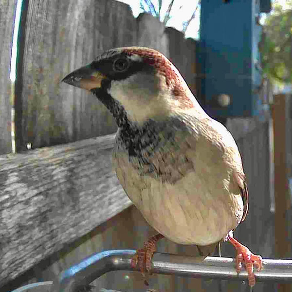 3MGLl07CVyrWtETvtkM7vr