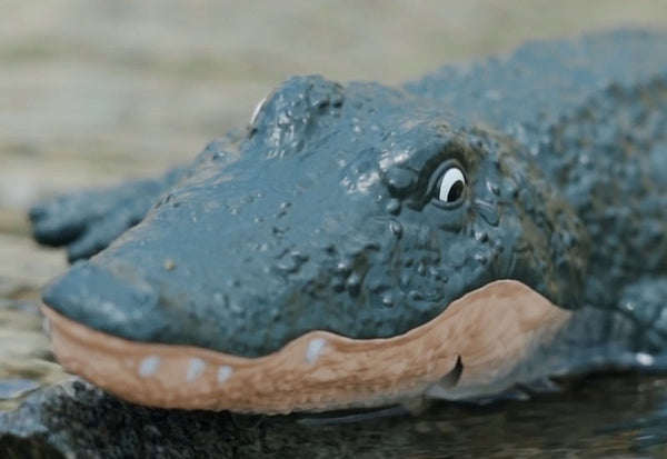 5EE1bR5unJMLXSLjhNDI7r