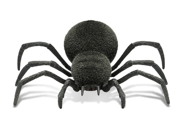 5qY9X8T5AZL3ZL5o0EeX1u