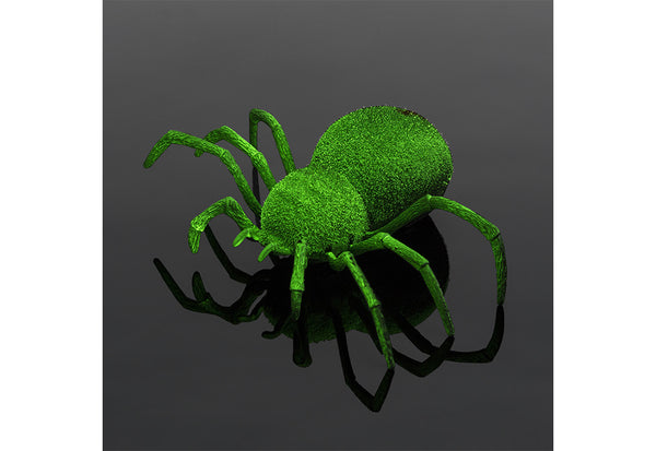 67b9pXWL6v77vwN2ARDq2y