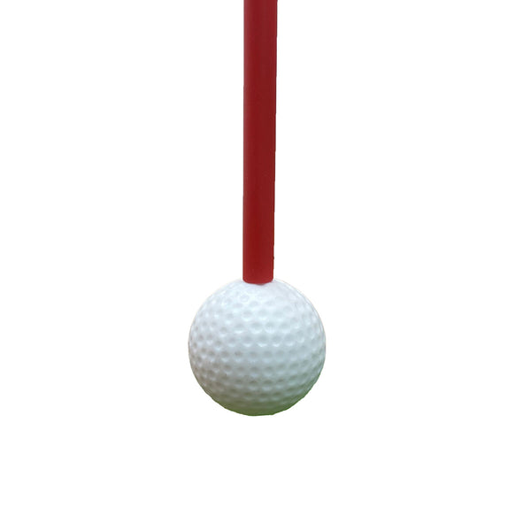 Golf Swing and Hitting Trainer