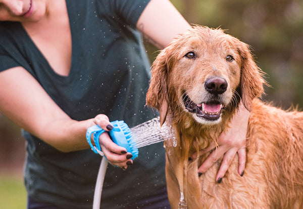 24k8wJOdo6vqmg3eWt6p0i