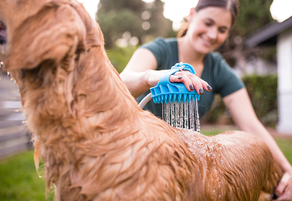 6AlxCerHYPgaxv3OZlNFpK