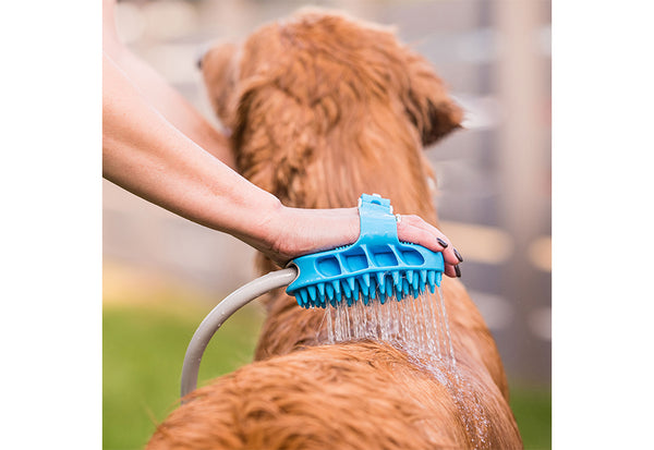 7updLfhJaaawQuEzeuzzDF