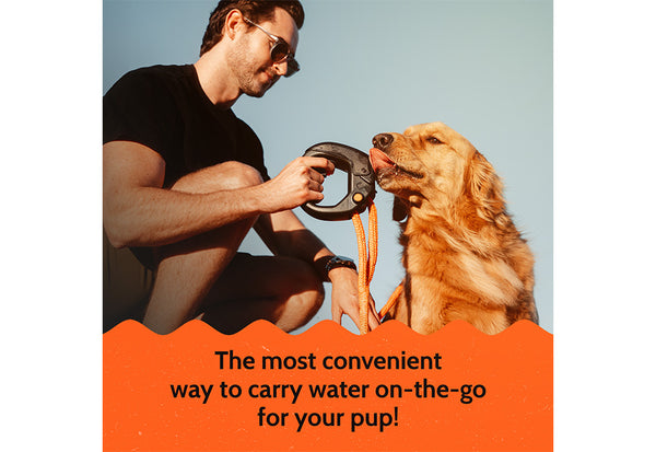 5pxcUpocMNgRNGipvKOUix