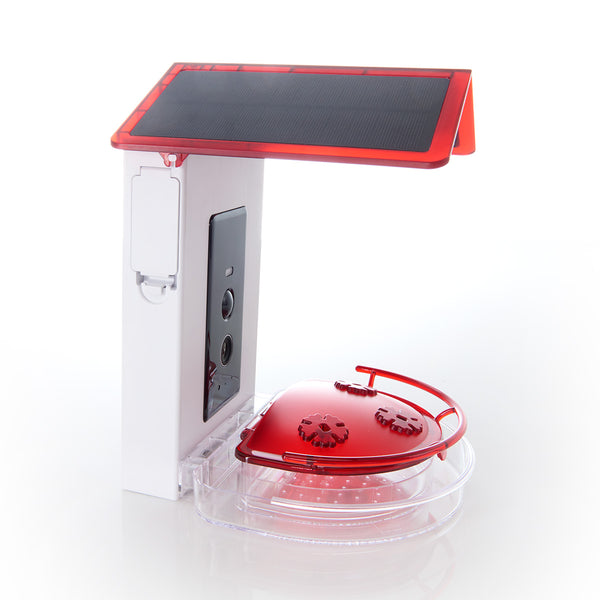 3TJJN2oapBlWoSlAbYBzn3