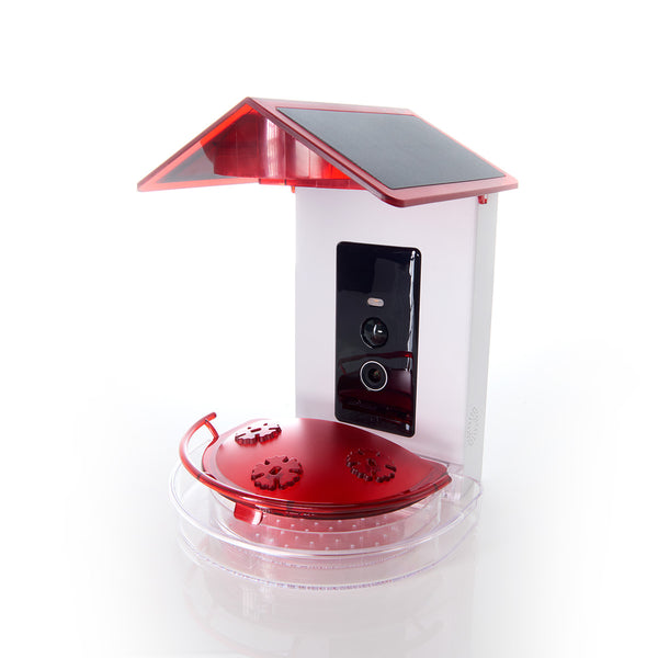 15Qz2zvT9Fu9HWOPgPUGRW