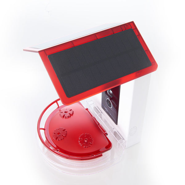 2QgTbajp3Cq21CLPAQOWdY