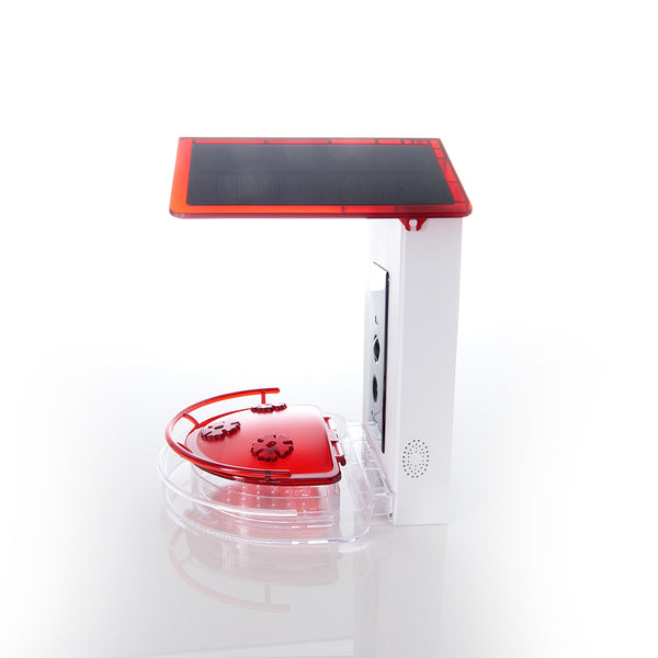 768k2MJ4dqFYTHR4lI0Tkz