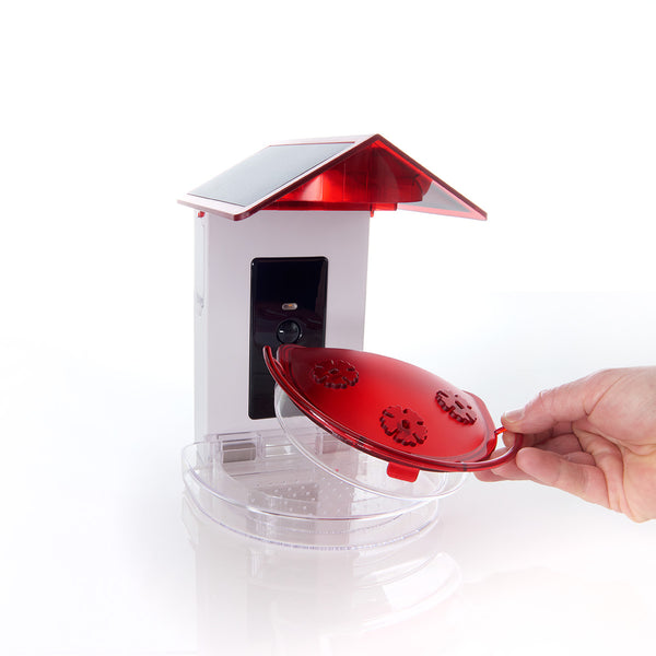 79bFj0bc0VPGwmN3khWbTC