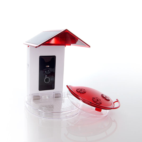 46wcCspKfK6ADdpMtGCUOA