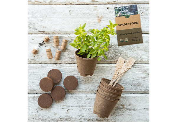 1ocAwVUrOCd5IXiqmRnWs8