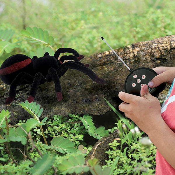 3NBMBSgadRS6CQcuHzHRFM