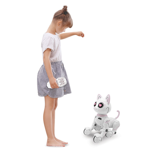 2RAdRXOyjjZQ45JVKSzzWz