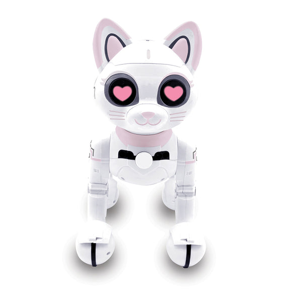 63JDKv6BBLzPlwngc4GeE2