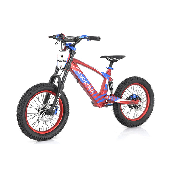Youth Electric Dirt Bike