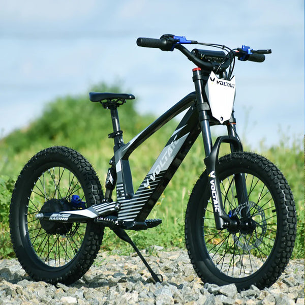 Youth Electric Dirt Bike