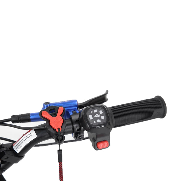 Youth Electric Dirt Bike