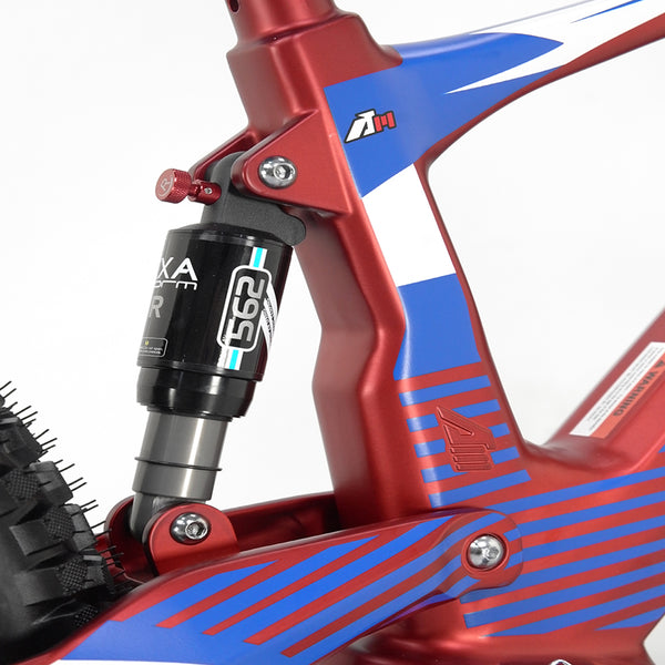 Youth Electric Dirt Bike