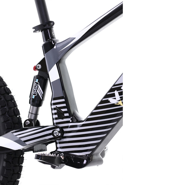 Youth Electric Dirt Bike