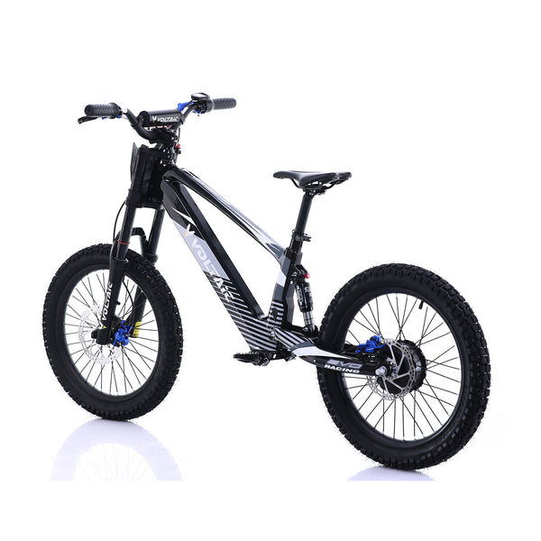 Youth Electric Dirt Bike