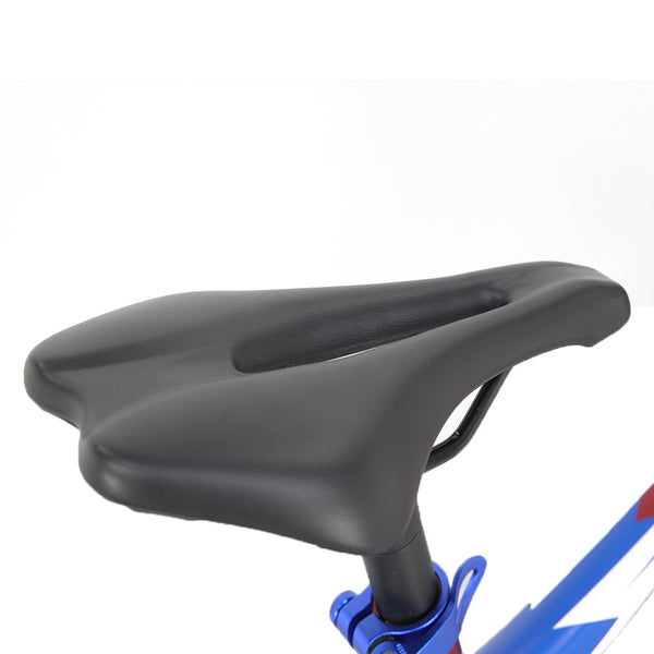 Youth Electric Dirt Bike