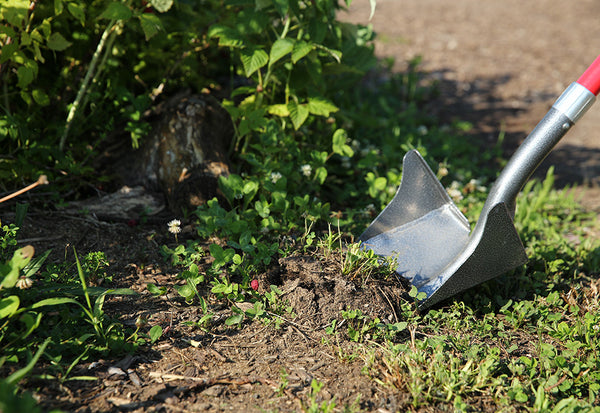 6uq4dIcFqQorcgoTac5D3i