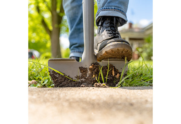 3dbJzZSANeQD7ZMqxfrOEV