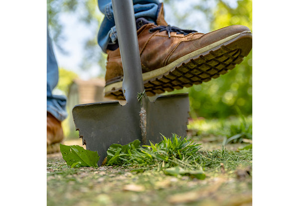 2cOoBddyZ5GKn2F2FKGvMh