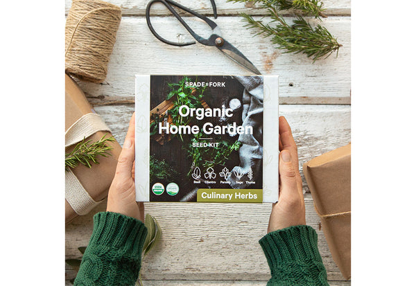 6TWhs8XmGunzcVBzS1XHbn