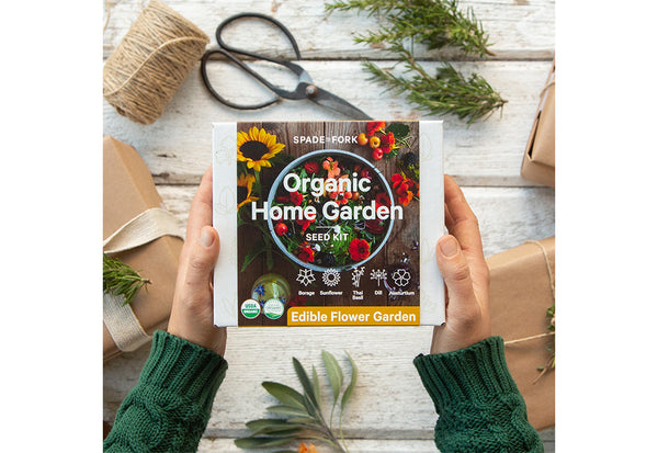 4gYBxtXC0ZPojm13K3cXun