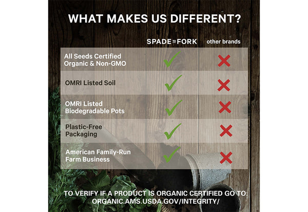 ptcVgzXU4R2QA9nzyLxtH