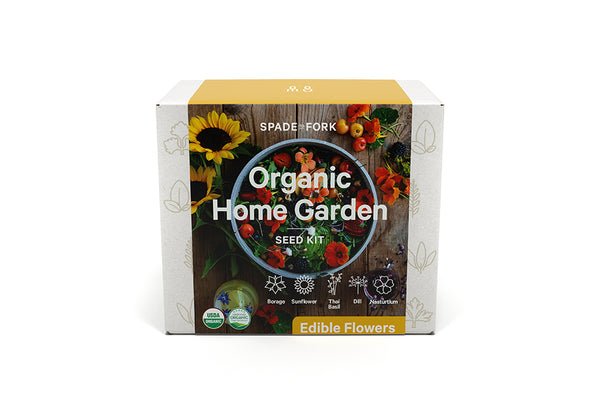 2cQtEoUoUkIVhtoZeNs0P9