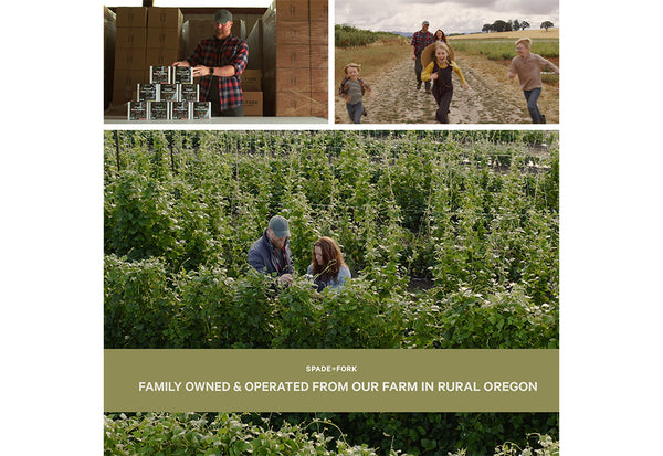 4qYoKgsU89pNwlxCQKkEs5