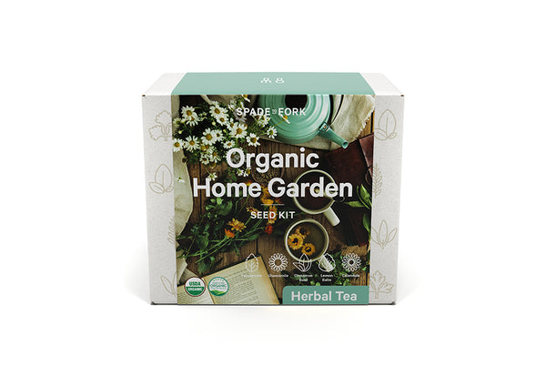 3TTb6s35m9vMPLamzv5WBz